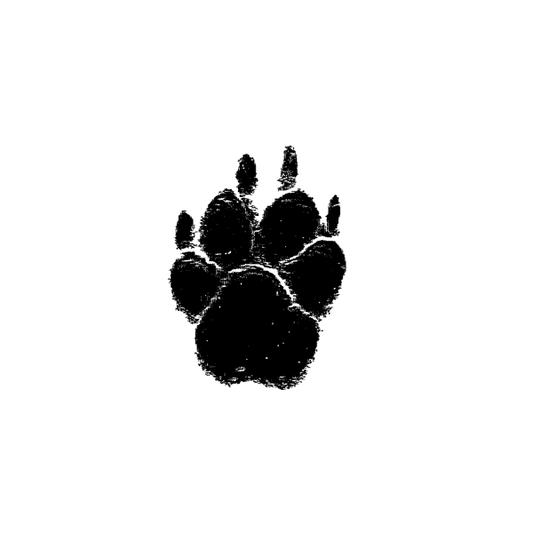 Pfotenabdruck als Grafik